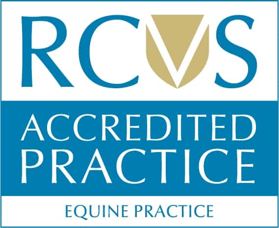 Buy Genuine RCVS Certificate Online
